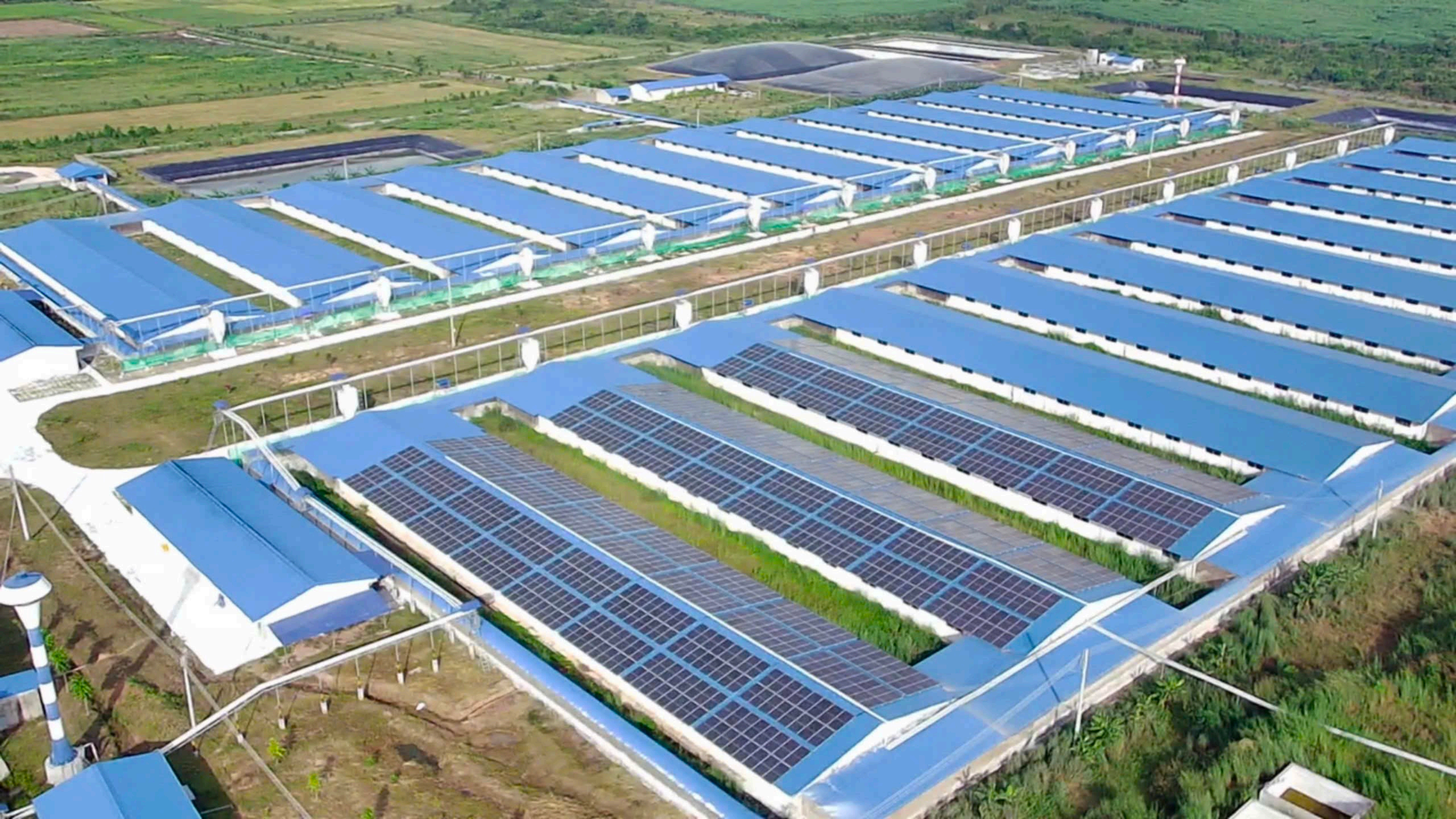 DỰ ÁN ĐIỆN MẶT TRỜI ÁP MÁI 1200 kWp – TRẠI LỢN EA SUP